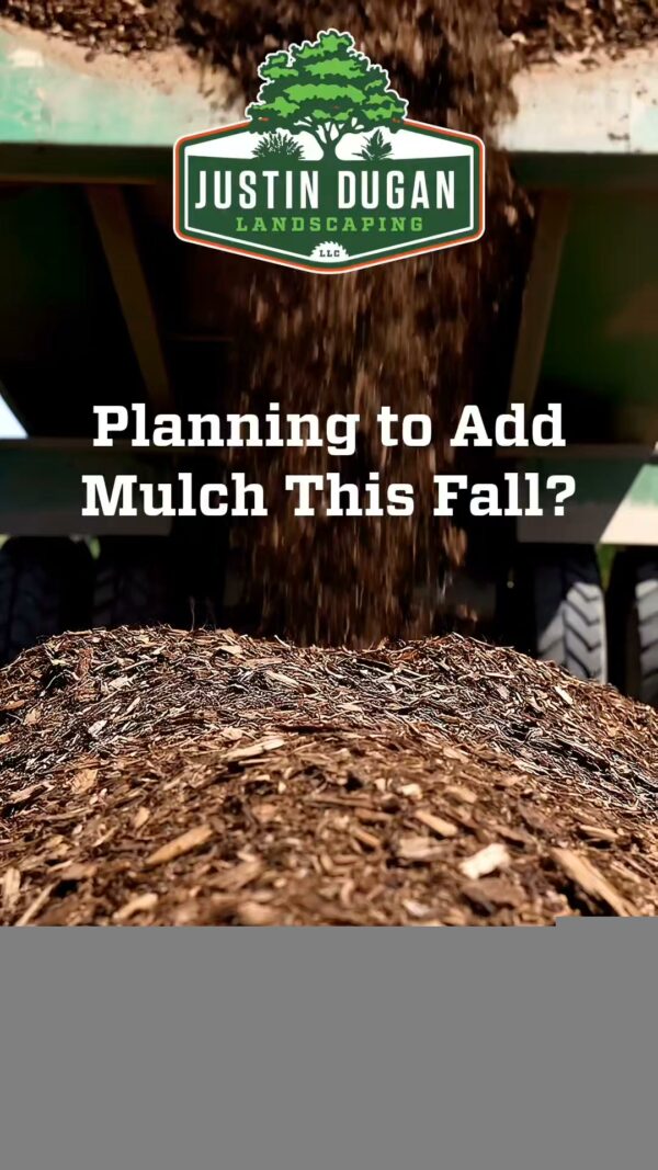 If you're thinking about refreshing your flowerbeds this fall, now is the time to do…