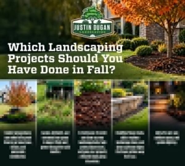 Cooler temperatures and less intense heat make fall an ideal season for many landscaping projects.…