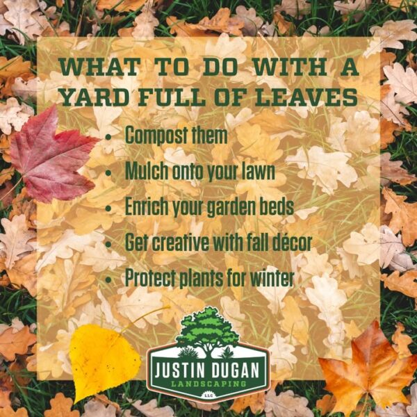 Before you start bagging up every last leaf, consider putting them to work around your…