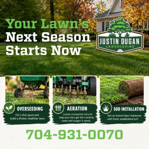 Thin spots, compacted soil, or a lawn that’s lost its luster? Fall is your chance…