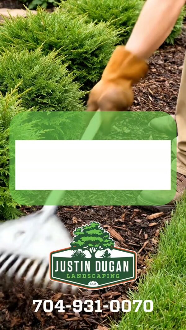 Mulch does more than make your flowerbeds look good. It helps retain soil moisture, regulate…